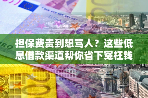 济南担保费贵到想骂人？这些低息借款渠道帮你省下冤枉钱