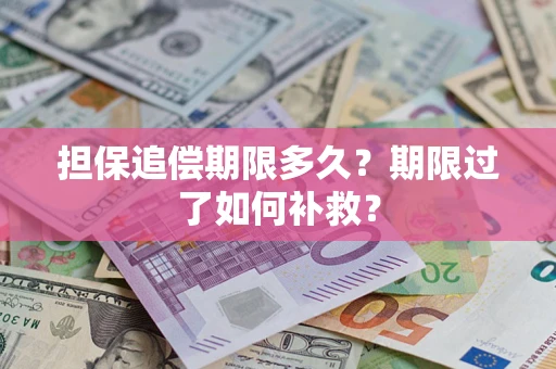 济南担保追偿期限多久？期限过了如何补救？