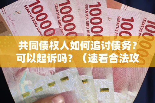 济南共同债权人如何追讨债务？可以起诉吗？（速看合法攻略）
