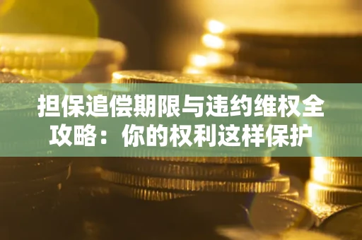 济南担保追偿期限与违约维权全攻略：你的权利这样保护